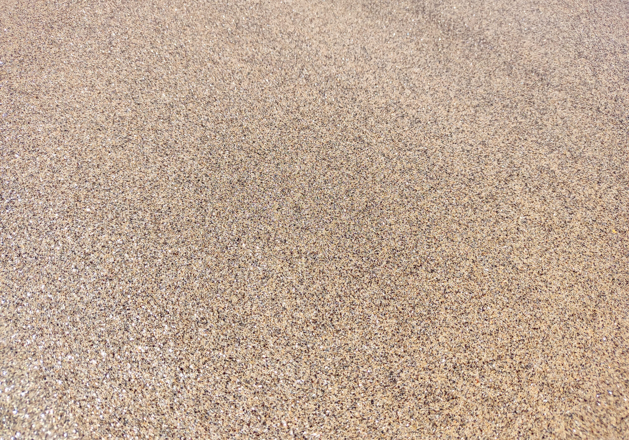 Detailed sand texture fills the frame, suitable for backgrounds or representing earthiness, beaches, or fine detail. Perfect for graphic design, web design or print.